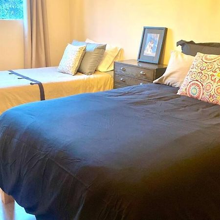 Amazing Cozy Apartment In Condesa Meksika Dış mekan fotoğraf