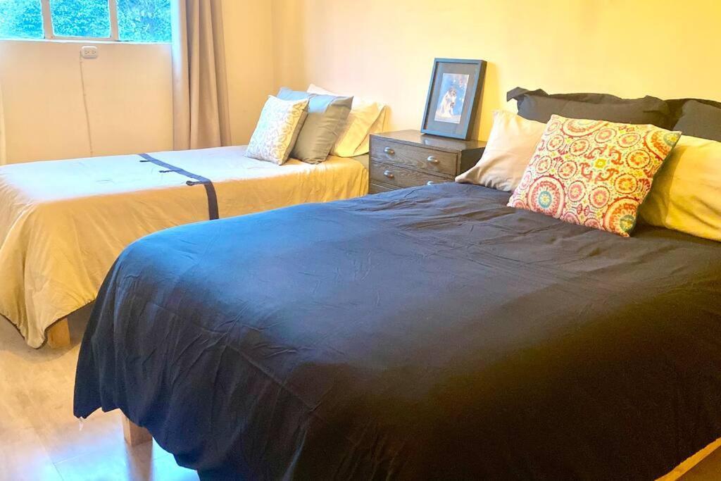 Amazing Cozy Apartment In Condesa Meksika Dış mekan fotoğraf