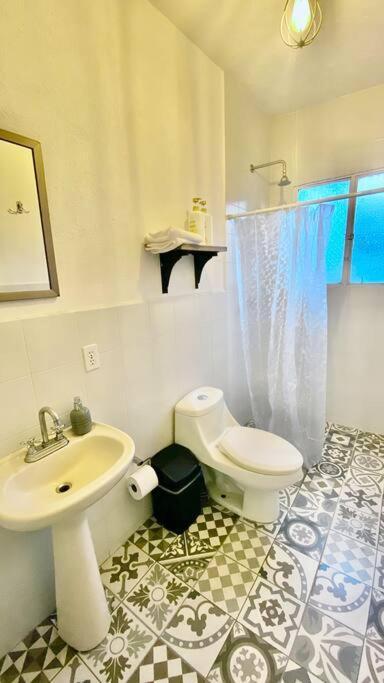 Amazing Cozy Apartment In Condesa Meksika Dış mekan fotoğraf